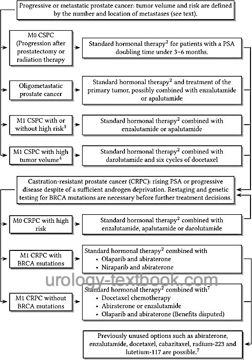Flowchart Hormonal therapy of advanced prostate cancer