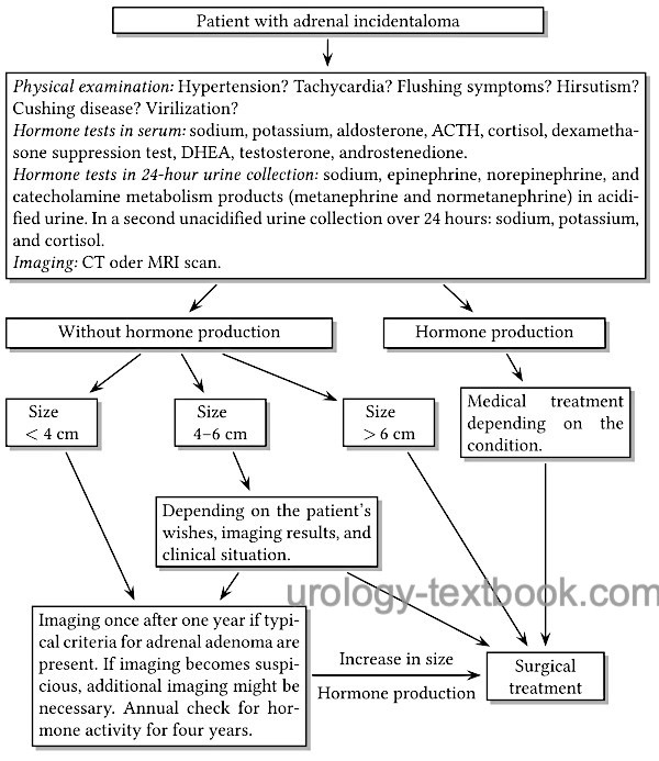 figure Algorithm for the diagnosis and treatment of adrenal incidentalomas