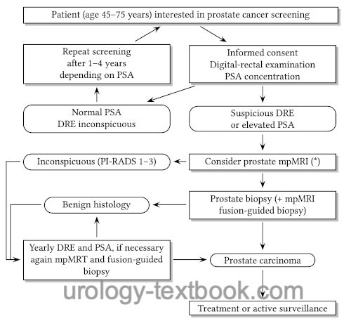 flow chart for for prostate cancer screeing with PSA and digital rectal examination